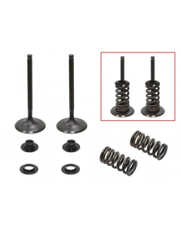 Supape de admisie PSYCHIC (kit complet supape și arcuri I Cu șaibe incluse) HUSQVARNA FE 350 '14-'19, KTM EXCF / XCF-W 350 '12-'18 Din Otel (MX-09555I) (36X5,47X87,2MM) Supape de admisie PSYCHIC (kit complet supape și arcuri I Cu șaibe incluse) HUSQVARNA FE 350 '14-'19, KTM EXCF / XCF-W 350 '12-'18 Din Otel (MX-09555I) (36X5,47X87,2MM)