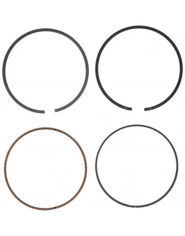 Segmenti Vertex ( diametru 93mm ) (1 set)