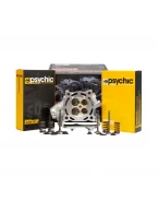 CYLINDER WORKS GŁOWICA KOMPLETNA Z ZAWORAMI I SPRĘŻYNAMI KAWASAKI KXF 250 07-08, KX 250 F 07-08 | CH3001-K01KIT