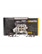 CYLINDER WORKS GŁOWICA KOMPLETNA Z ZAWORAMI I SPRĘŻYNAMI KAWASAKI KXF 250 (KX 250F) 04-05, SUZUKI RMZ 250 (RM-Z 250) 04-06 | CH3002-K01KIT