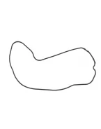 NAMURA USZCZELKA POKRYWY ALTERNATORA HONDA TRX 400FW 95-03, 450S/ES 98-00, 450 FE/FM 02-04 (11396-HM7-000) | NA-10000CG2