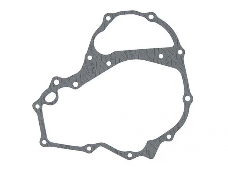 NAMURA USZCZELKA POKRYWY ALTERNATORA HONDA TRX 250 EX/TE/TM SPORTRAX 97-21 | NA-10025CG2