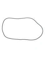 NAMURA USZCZELKA POKRYWY SPRZĘGŁA YAMAHA YFM 700 GRIZZLY/KODIAK/WOLVERINE 16-18 (ORING) (OEM-2MB-E5379-00-00) | NA-40025CG