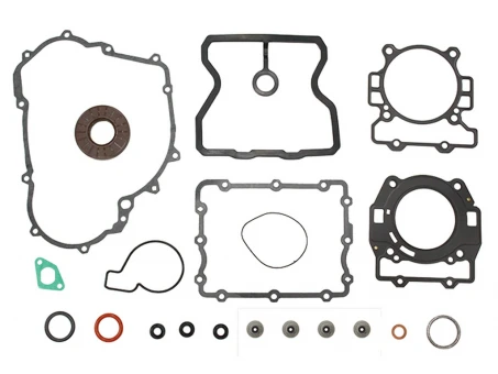 NAMURA KOMPLET USZCZELEK POLARIS ACE 325 EFI,HAWKEYE, SPORTSMAN ETX EFI ,RANGER ETX ,M1400 GAS ,14-16 | NA-50096F