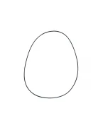 NAMURA USZCZELKA POKRYWY SPRZĘGŁA HONDA CRF 250R 04-09, CRF 250X 04-17 (ZEWNĘTRZNA) (O-RING) (11352-KRN-671) | NX-10030CG2