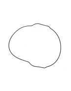 NAMURA USZCZELKA POKRYWY SPRZĘGŁA (ORING) YAMAHA YZF 450 10-17, WRF 450 16-17 (ZEWNĘTRZNA) (OEM-33D-15453-00-00) | NX-40047CG2