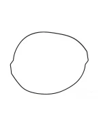NAMURA USZCZELKA POKRYWY SPRZĘGŁA KTM SXF 250 13-15, SXF 350 11-15, EXCF 350 12-16, HUSQVARNA, HUSABERG (O-RING) (ZEWNĘTRZNA) (OEM:77230027000) | NX-70062CG