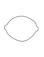 NAMURA USZCZELKA POKRYWY SPRZĘGŁA KTM SX 250 17-23, EXC 250 17-23, HUSQVARNA TC/TE 250, TE/TX 300 17-23 (ZEWNĘTRZNA) (OEM 55430027000)(O-RING) | NX-70096CG2