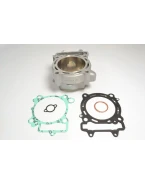 ATHENA CYLINDER STD + USZCZELKI TOP-END KAWASAKI KXF 450 06-08, KLX 450R 08-17 (KXF450) | EC250-002