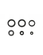 ATHENA KOMPLET (ZESTAW) USZCZELNIACZY SILNIKOWYCH HONDA TRX 400 FA/FGA FOURTRAX RANCHER 04-07 | P400210400196