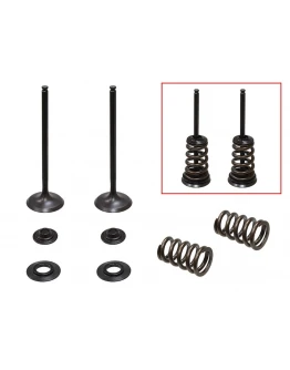 Set supape admisie PSYCHIC (kit complet supape și arcuri I Cu șaibe incluse) KTM SX-F / EXC-F 250 '05-'07 Set supape admisie PSYCHIC (kit complet supape și arcuri I Cu șaibe incluse) KTM SX-F / EXC-F 250 '05-'07