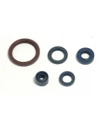 ATHENA KOMPLET (ZESTAW) USZCZELNIACZY SILNIKOWYCH HUSQVARNA TE 250 03-09, TE 310 09-10, TE 450/510 03-10, TC 250/310/450 | P400220400255