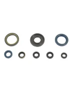 ATHENA KOMPLET (ZESTAW) USZCZELNIACZY SILNIKOWYCH KTM GS 250 84-89 | P400270400033