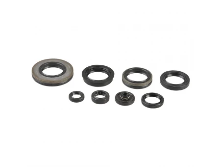 ATHENA KOMPLET (ZESTAW) USZCZELNIACZY SILNIKOWYCH SUZUKI RM 250 03-08 | P400510400035