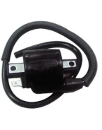 Bobina inductie BRONCO (aprindere) universala pentru instalatii de 12V si 6V | AT-01302