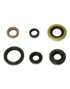 Kit garnituri BRONCO HONDA TRX 400 EX FOURTRAX 98-08 | AT-09606