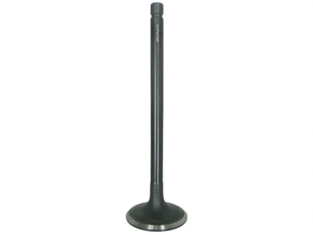 Supapa admisie BRONCO YAMAHA YFM 660 GRIZZLY/RAPTOR/RHINO 98-07 otel (30x6x100,6MM)(OEM:5KM-12111-00) | AU-09158I