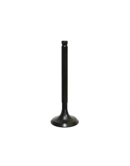 Supapa admisie BRONCO KAWASAKI KFX 90 '07-'17 otel (22,99X 4,6/4,9 X65,04MM) (OEM:12005-Y002)