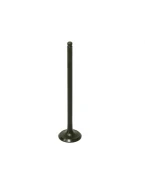 Supapa evacuare BRONCO POLARIS 850 SPORTSMAN/SCRAMBLER 09-16 otel (25,99X5,48X115,99MM)(OEM:3022100) | AU-09192E