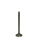 Supapa evacuare BRONCO SUZUKI LT/LT-F160 QUADRUNNER 89-04 otel (25X5,4X91MM) (OEM:12912-02C00) | AU-09216E