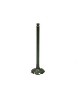 Supapa evacuare BRONCO SUZUKI LT/LT-F160 QUADRUNNER '89-'04 otel (25X5,4X91MM) (OEM:12912-02C00)