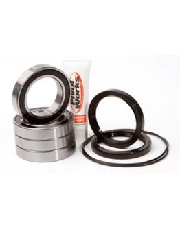 Set rulmenți roată spate Pivot Works SUZUKI LT-R 450 (06-09) (LTR450)