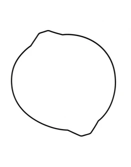 Garnitura capac ambreiaj ProX YAMAHA YZ 250 '99-20, YZ 250X '16-20