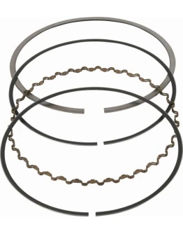 Segmenti Vertex ( diametru 95mm ) (1 set)