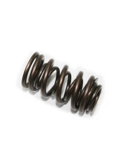 Arc supapă evacuare PSYCHIC pentru HONDA CRF 450X '05-'16, TRX 450R '06-'09, 450ER '07-'14 (XU-09537ES) Arc supapă evacuare PSYCHIC pentru HONDA CRF 450X '05-'16, TRX 450R '06-'09, 450ER '07-'14 (XU-09537ES)