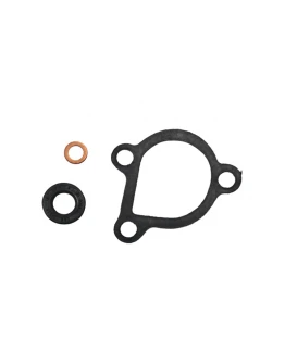 Kit reparație pompă apă PSYCHIC pentru KTM SX 50/65 '00-'08