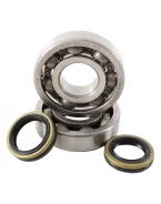 HOT RODS ŁOŻYSKA WAŁU KORBOWEGO Z USZCZELNIACZAMI SUZUKI RM 250 05-08 | K057