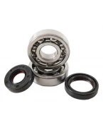 HOT RODS ŁOŻYSKA WAŁU KORBOWEGO KAWASAKI KX 125 88-05 | K235
