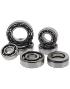 HOT RODS ZESTAW NAPRAWCZY SKRZYNI BIEGÓW YAMAHA YFM 660 RHINO 04-07, YFM 660 GRIZZLY 02-08 | TBK0075