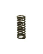PSYCHIC SPRĘŻYNA ZAWORU WYDECHOWEGO KAWASAKI KXF 250 06-14 (MX-09505ES) - ZASTĄPIONY PRZEZ XU-09509ES | XU-09505ES