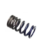 PSYCHIC SPRĘŻYNA ZAWORU SSĄCEGO KAWASAKI KXF 250 04-06, SUZUKI RMZ 250 04-06 (MX-09509IS) | XU-09509IS