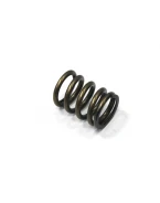 PSYCHIC SPRĘŻYNA ZAWORU SSĄCEGO SUZUKI RMZ 450 08-15, RMX 450 10-14 (MX-09527IS) | XU-09527IS