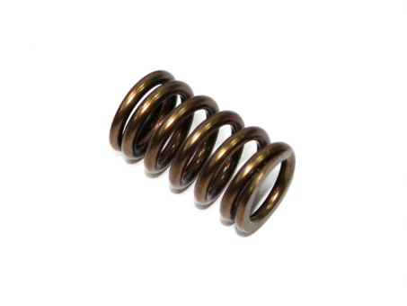 PSYCHIC SPRĘŻYNA ZAWORU WYDECHOWEGO KAWASAKI KXF 450 06-17, KFX 450R 08-14 (MX-09528ES) | XU-09528ES