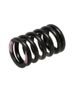 PSYCHIC SPRĘŻYNA ZAWORU SSĄCEGO KAWASAKI KXF 250 11-16 (MX-09539IS) | XU-09539IS