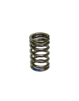 Arc supapă admisie PSYCHIC pentru KAWASAKI KXF 250 '07-'10 (MX-09540IS) -XU-09552IS