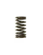 PSYCHIC SPRĘŻYNA ZAWORU WYDECHOWEGO YAMAHA YZF 450 10-16 (MX-09541ES) | XU-09541ES