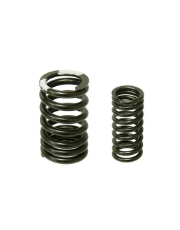Set arcuri supape PSYCHIC pentru HONDA CRF150F '03-'05, CRF230F '03-'17, CRF250L '08-'09 Set arcuri supape PSYCHIC pentru HONDA CRF150F '03-'05, CRF230F '03-'17, CRF250L '08-'09