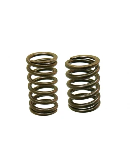 Set arcuri supape PSYCHIC pentru KTM 450/520/525, BETA RR 400/450/525 ENDURO Set arcuri supape PSYCHIC pentru KTM 450/520/525, BETA RR 400/450/525 ENDURO