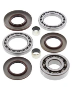 ALL BALLS ZESTAW NAPRAWCZY DYFERENCJAŁU TYLNEGO POLARIS SPORTSMAN XP850 (09), XP550 - WYCOFANY Z OFERTY | 25-2081