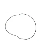 NAMURA USZCZELKA POKRYWY SPRZĘGŁA (ORING) YAMAHA YZF 450 10-17, WRF 450 16-17 (ZEWNĘTRZNA) (OEM-33D-15453-00-00) | NX-40047CG2
