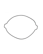 NAMURA USZCZELKA POKRYWY SPRZĘGŁA KTM SX 250 17-23, EXC 250 17-23, HUSQVARNA TC/TE 250, TE/TX 300 17-23 (ZEWNĘTRZNA) (OEM 55430027000)(O-RING) | NX-70096CG2