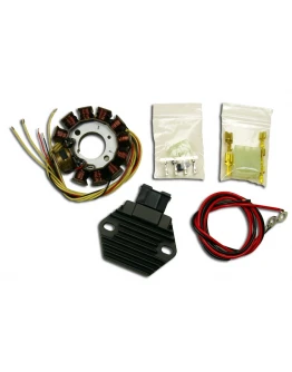 Stator alternator ELECTREX - cu regulator tensiune KTM EXC 2T 250 '08-'17 EXC 300 '08-'15, FREERIDE 250 '14, EXC 200 '13-'15 , SX 144 '08, HUSABERG 250/300 '11-'17 ,HUSQVARNA TC/TE 250/300 '14