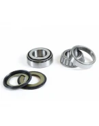 PROX ŁOŻYSKA GŁÓWKI RAMY Z USZCZELNIACZAMI HONDA CRM 125R 93-99 NX 125 95-97 KAWASAKI KX 65 00-09 KX 80/85 86-20, WAHACZA HONDA GL1800 (22-1022) | 24.110022