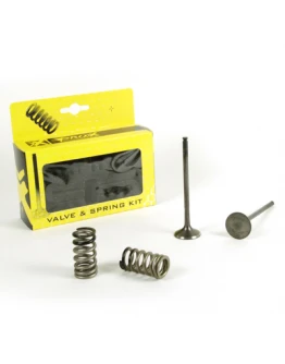 Set supape de evacuare ProX cu arcuri KTM 250 EXCF (14-16)