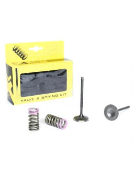 Set supape de admisie ProX cu arcuri HONDA CRF 250R 04-07, CRF 250X 04-16