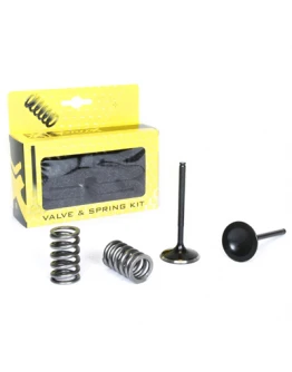 Set supape de admisie ProX cu arcuri HONDA CRF 450X (05-17)